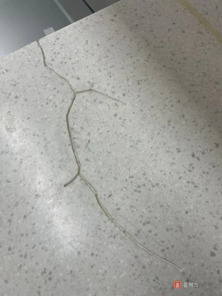 복원제를 채워 넣은 크랙 자국
