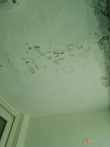 페인트가 들뜨고 벗겨진 베란다 천장과 모서리에 번진 검은 곰팡이