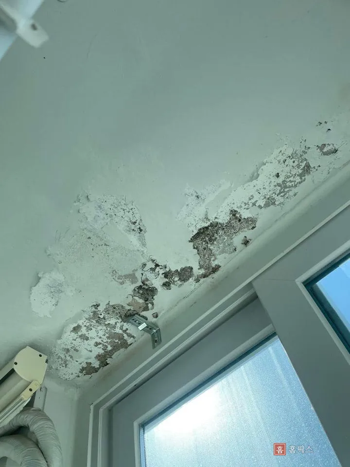 천장 모서리를 따라 도막이 떨어져 시멘트 면이 드러난 상태