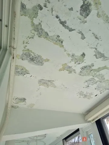 결로로 페인트가 부풀고 벗겨진 비확장 베란다 천장